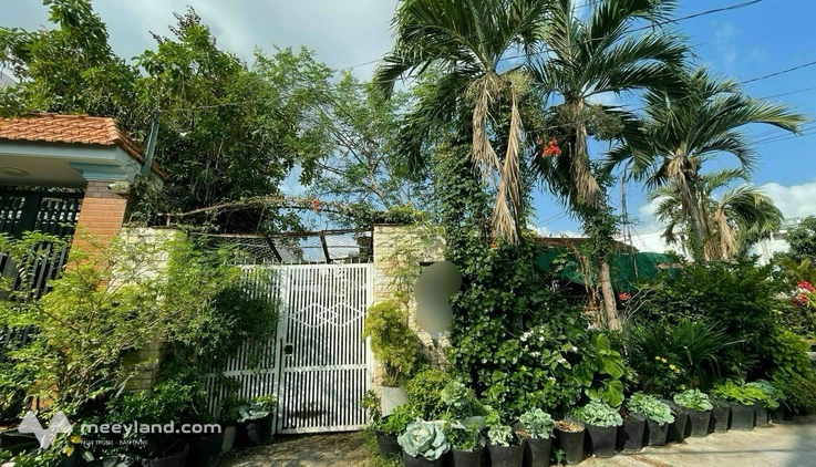 Nhà diện tích 182m2 đường 49 phường Bình Thuận, quận 7, giá 30 tỷ