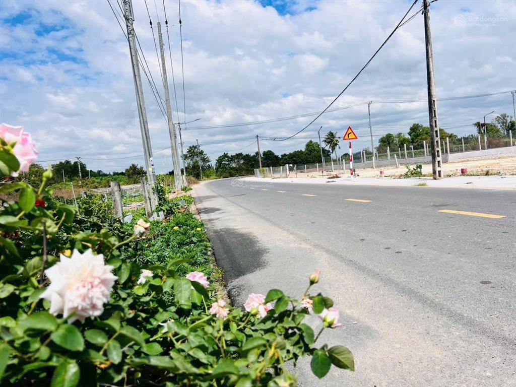 Quá đẹp gần biển phước hải chỉ 1 tỷ 2/lô mặt tiền đường nhựa tim vàng xã phước hải tp. hcm