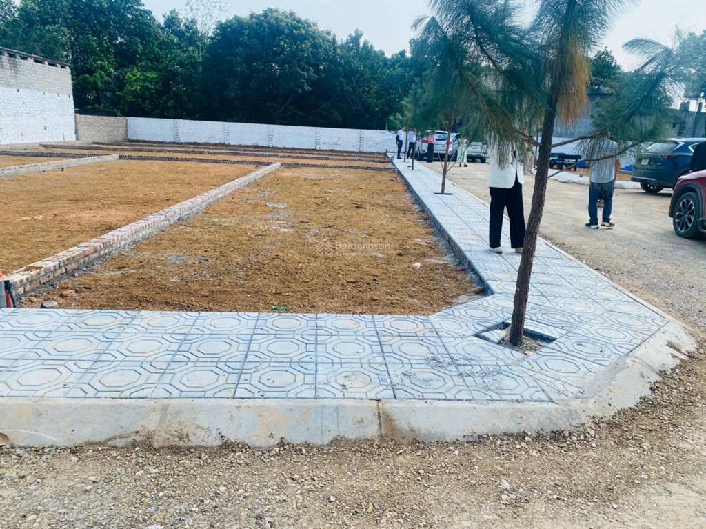 Tài chính 2,5tỷ sở hữu ngay 100m2 đất, đối diện trường cao đẳng nghề, sẵn sổ chủ cắt lô 350triệu