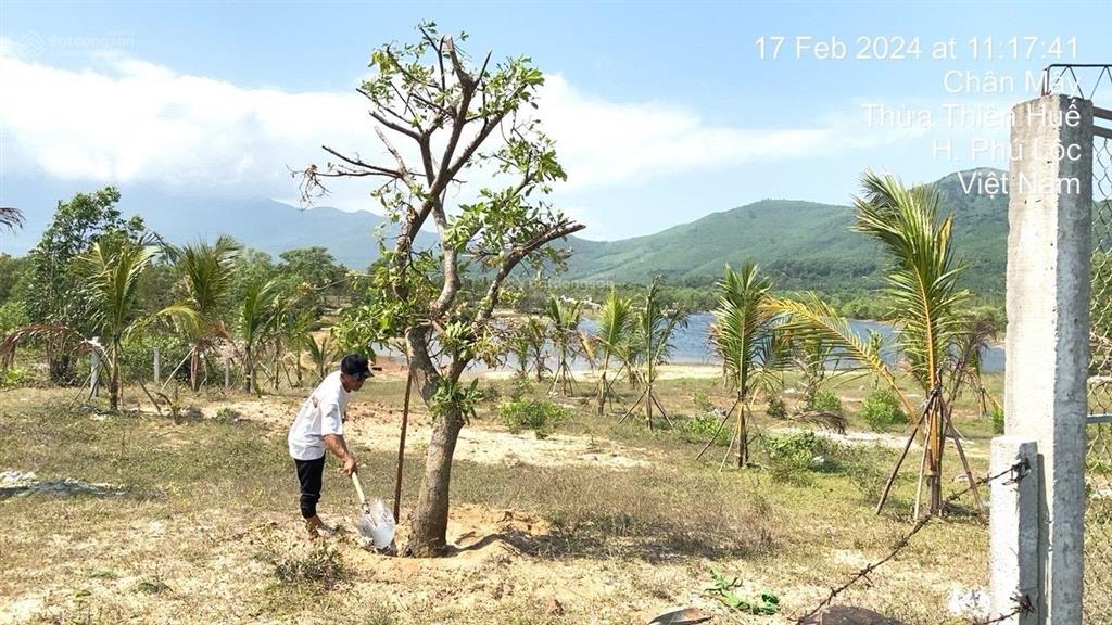 Cần bán gấp đất mặt tiền chân mây lăng cô sổ đỏ công chứng ngay