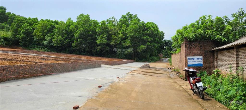 Bán đất đô lương trung giã, đường thông 8m, gần hồ, 146m, mt 5m, 1.25 tỷ, 50m ra đường