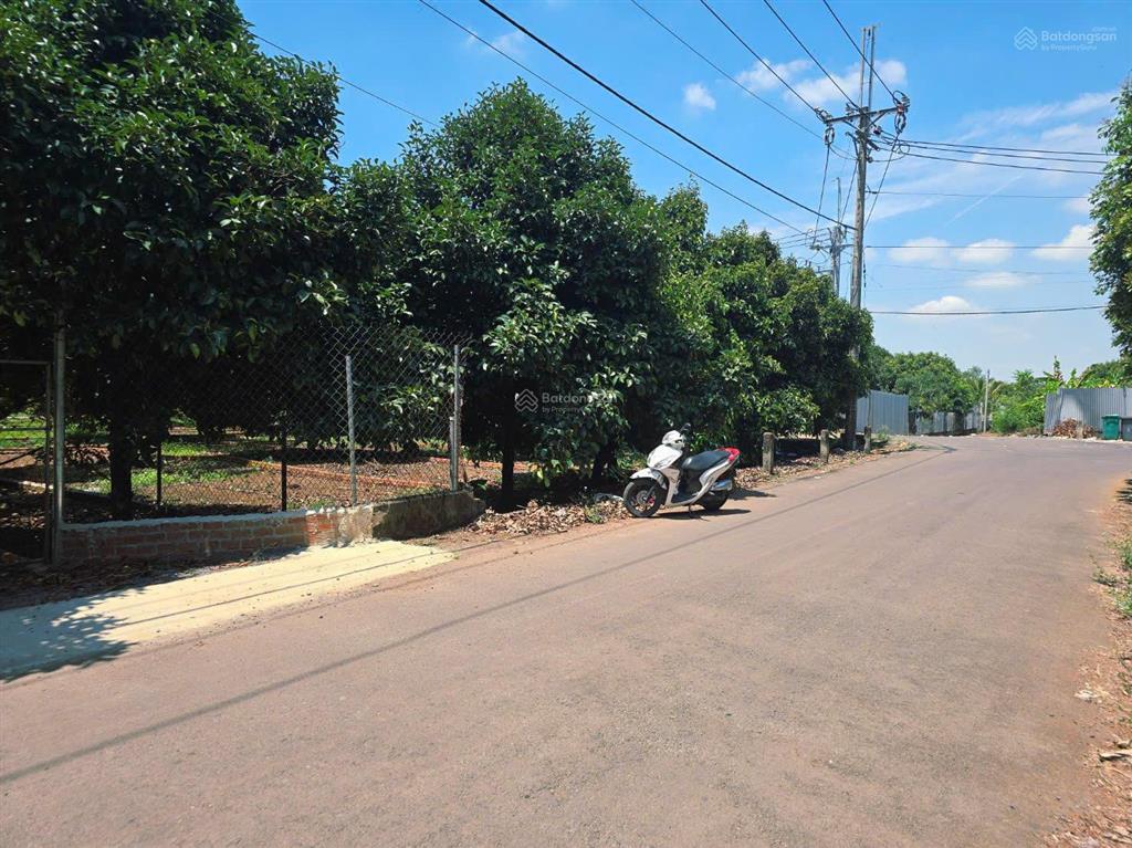 Còn 1 sổ duy nhất mặt tiền đường nhựa ngay tt dầu giây chỉ 850tr shr