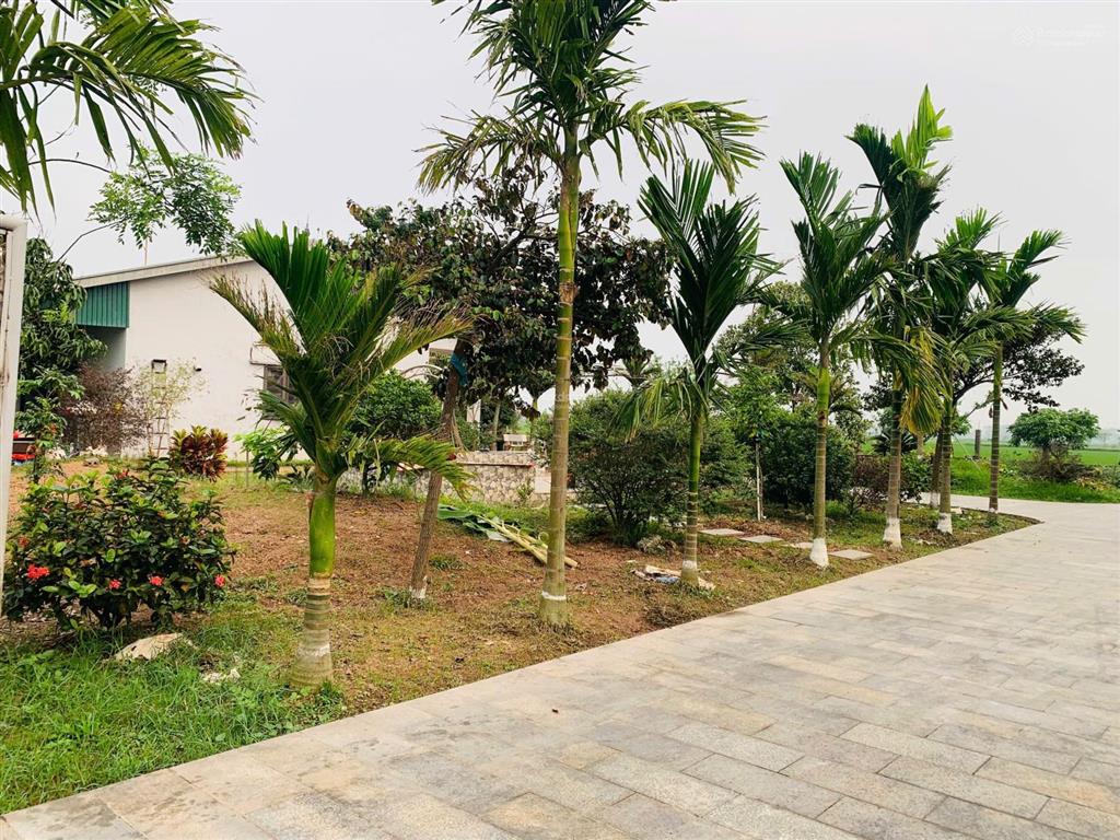 Bán đất nông nghiệp thường tín hà nội