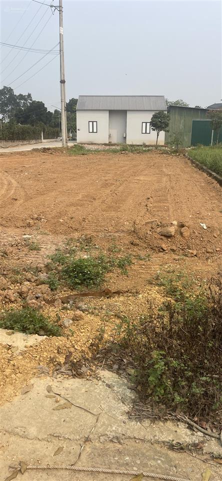 Chính chủ bán lô đất 692m tc 200m tại hoà trúc phú cát. lô góc 2 mặt tiền cách dh09 100m
