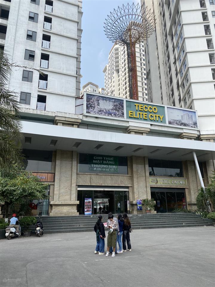 Bán căn hộ 2pn tại tecco elite city, 1,85 tỷ, 61m2, công ty có cam kết thuê lại giá 2pn 9,5tr
