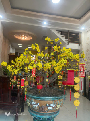 Nhà phố xinh rẻ 5m x 14m, 1 trệt 3 lầu, Tạ Quang Bửu, Quận 8, thành phố Hồ Chí Minh