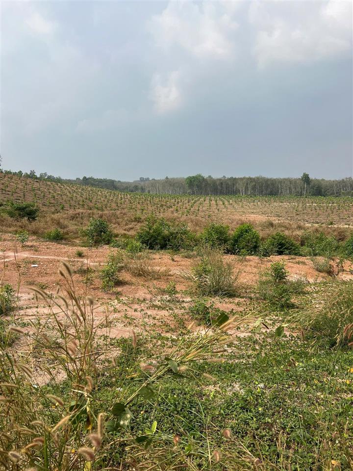 Bán gấp kho, nhà xưởng 29.000 m² tại phường hội nghĩa, tp tân uyên, bình dương