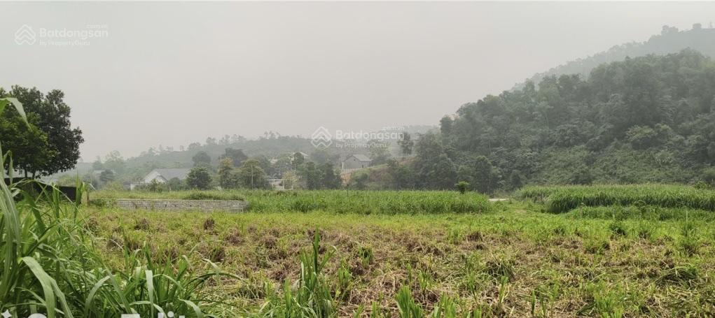 Giá siêu tốt 7,02 tỷ, 1.080m² sẵn 300m thổ, đông nam, view núi, mặt tiền 30m. chủ thật 100%.