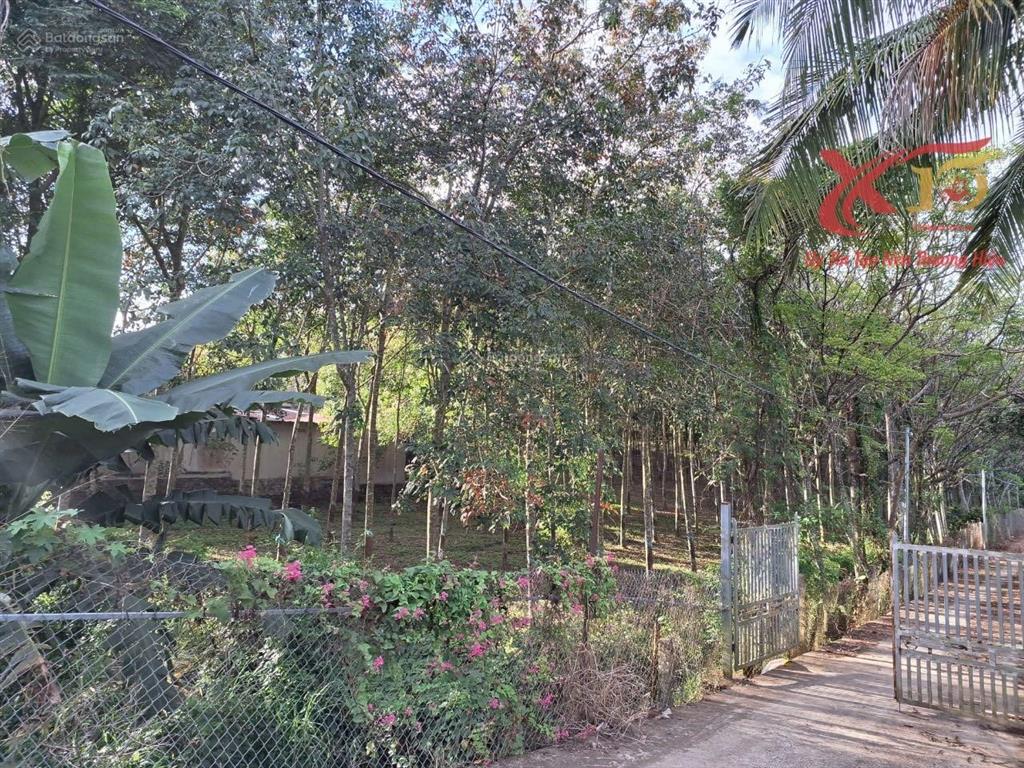 Bán đất mặt tiền đường nhựa ql56 xã xuân mỹ cẩm mỹ 6200m2 chỉ 15 tỷ. 0933 725 ***