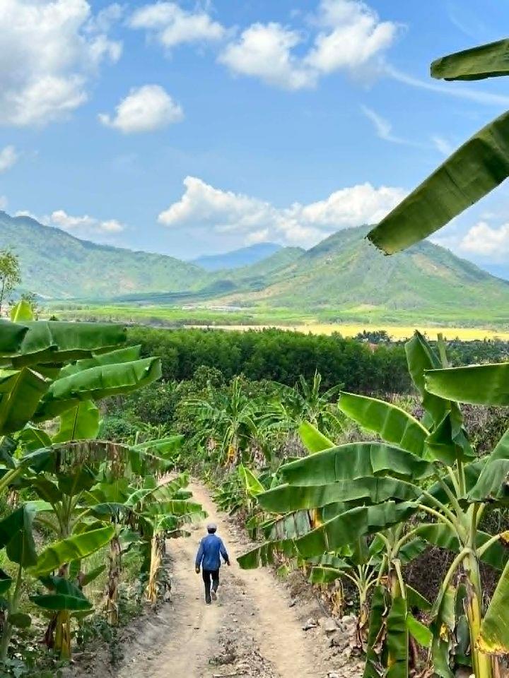 bán 13.000m2 đất đường oto view đẹp gần chợ trường xã Diên Tân, Diên Khánh giá rẻ