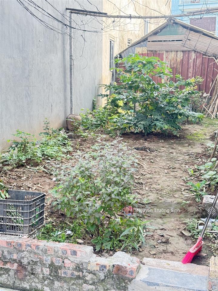 Bán gấp 51m2 trục chính kinh doanh thôn phúc thọ mai lâm đông anh chỉ 3,825 tỷ