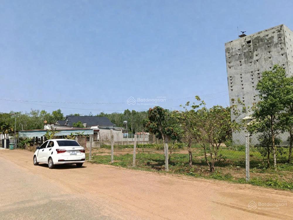 Đầu tư/kinh doanh/xây nhà vườn chốt ngay 30m mặt tiền đường huyện có 300m2 thổ cư