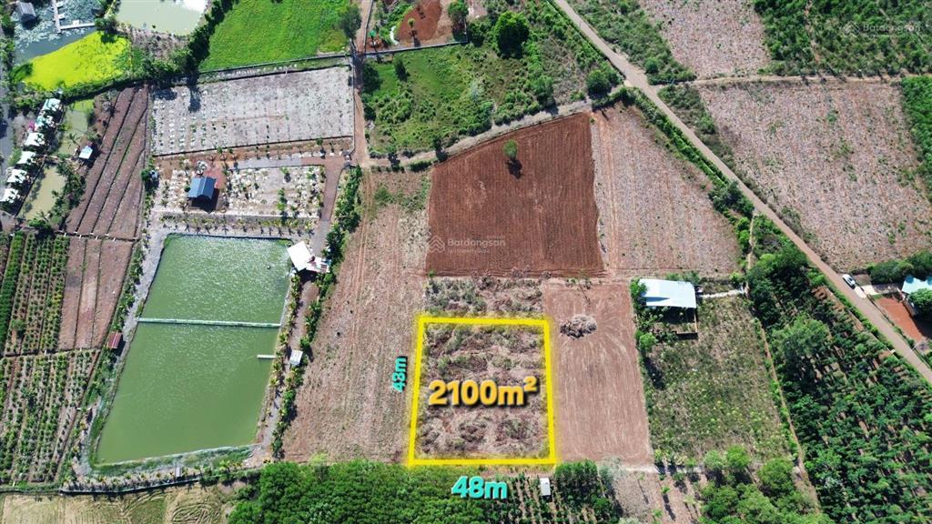 Bình giã, tphcm 2100m² mặt tiền 48m thênh thang, giá tham khảo tốt trong khu vực