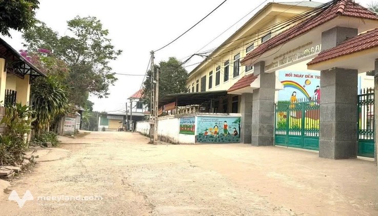 Chính chủ cần bán lô đất tại xã Hướng Đạo, huyện Tam Dương, tỉnh Vĩnh Phúc