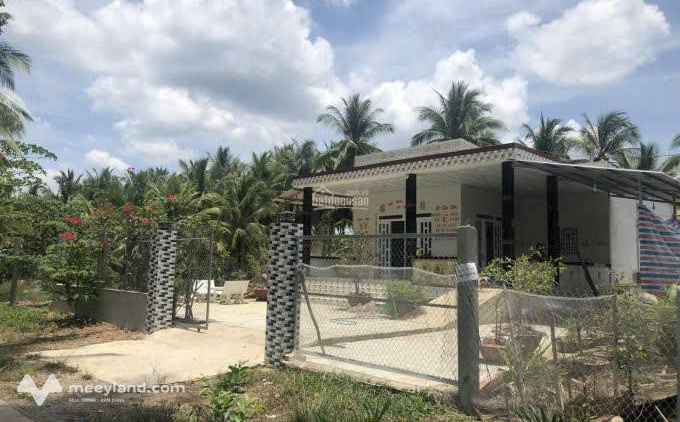 Chủ nhà kẹt tiền cần bán gấp lô đất siêu rộng 2020,5m² tại xã Thành An, huyện Mỏ Cày Bắc, tỉnh Bến Tre