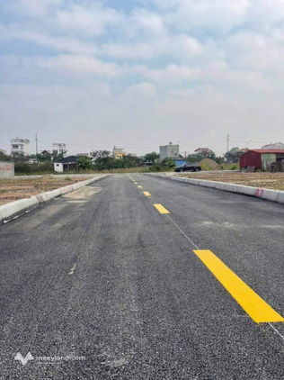 Lô đất vàng Nguyễn Huệ, Đồ Sơn, nơi an cư và đầu tư lý tưởng