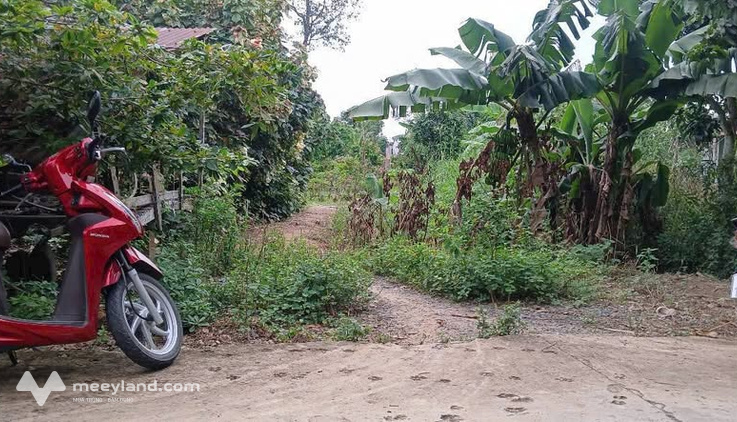Đất vàng Đồng Tháp, nở hậu lợi lộc, sổ đỏ trao tay, cơ hội an cư tuyệt vời