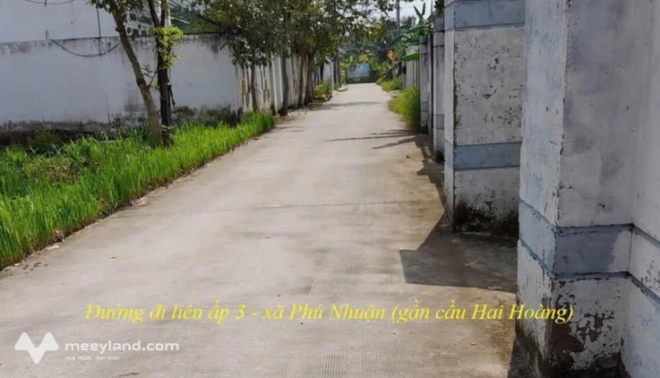 Nhà Phú Nhuận, Bến Tre, 98,6m2 thổ cư, giá hời 990 triệu, sổ sẵn sang tên