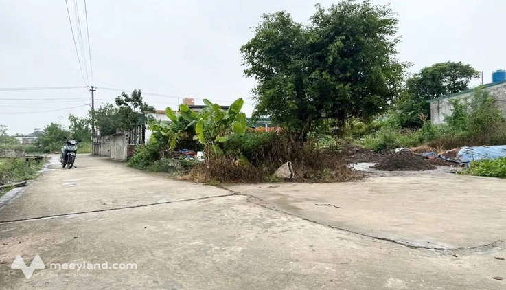 Bán nhanh 2 lô đất liền kề 100m² full thổ cư, nở hậu tại Tiền Hải, cơ hội đầu tư sinh lời