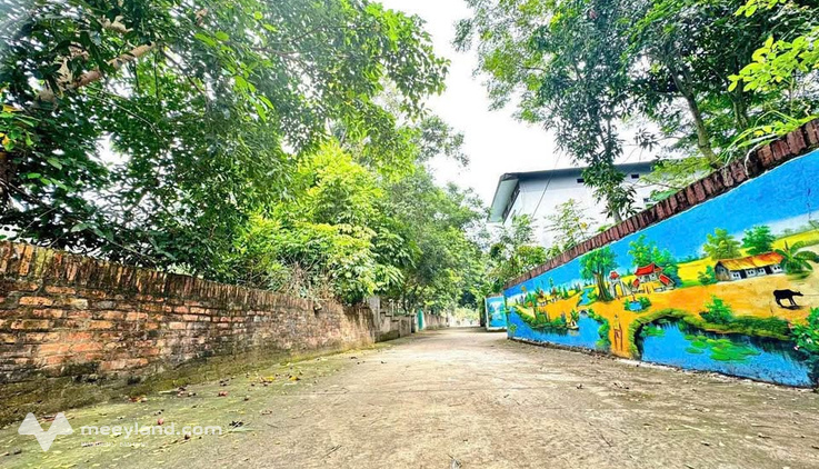 Bán đất 2 mặt tiền, 155m2 thị trấn Hợp Châu, Vĩnh Phúc, sổ đỏ sẵn sàng