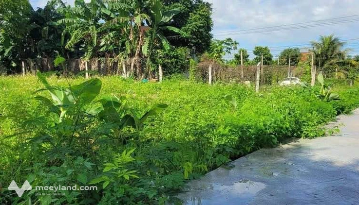 Đất Phú Khánh giá sập sàn, 300 triệu, nhanh tay kẻo lỡ