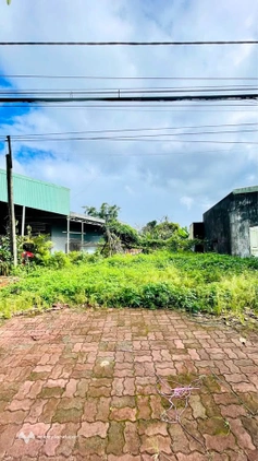 Mảnh đất vàng Võ Nguyên Giáp, Pleiku, cơ hội đầu tư sinh lời
