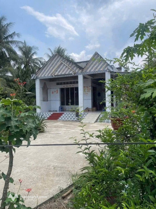 Đất vàng Mỏ Cày Nam, 3300m2, mặt tiền 31m, giá chỉ 2,3 tỷ, thoải mái xây dựng
