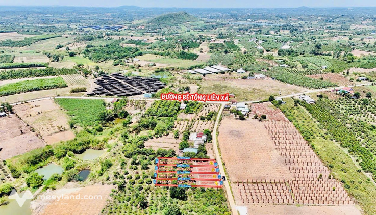 Đất Xuân Phú, Ea Kar, Đắk Lắk, vườn vải cổ thụ, cà phê bạt ngàn, giá chỉ 139 triệu