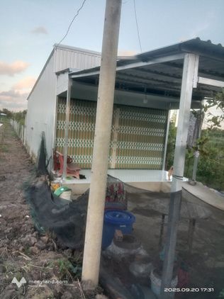 Bán đất nền 700m2 tặng nhà cấp 4 kiên cố tại xã Vĩnh Thới, Lai Vung, Đồng Tháp