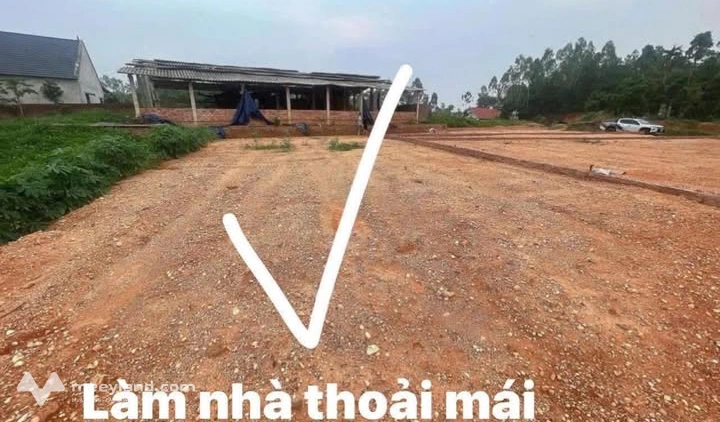 Bán đất vườn 341m² tại Sông Lô, Vĩnh Phúc, giá chỉ 350 triệu