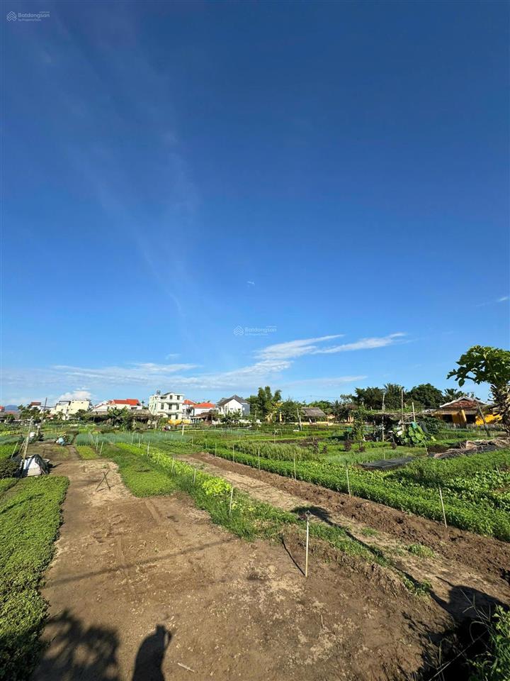 Bán lô đất mặt tiền view sông và view làng rau trà quế cực hiếm tại hội an diện tích 100m cực đẹp