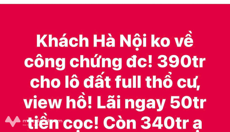 Đất view hồ 399 triệu sở hữu ngay, nở hậu tài lộc