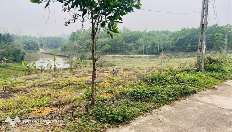 Lô đất 3.387m2 tại ngõ 3 đường Tân Cương - Thổ cư 400m2, hướng Đông Nam