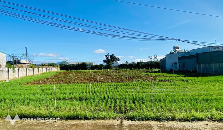 Đất vàng Lộc Châu, Lâm Đồng 2 lô liền kề 170m ra Quốc lộ 20, sẵn sàng xây dựng