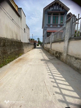 Siêu phẩm nhỏ xinh đường thông giá rẻ Tự Nhiên - Thường Tín