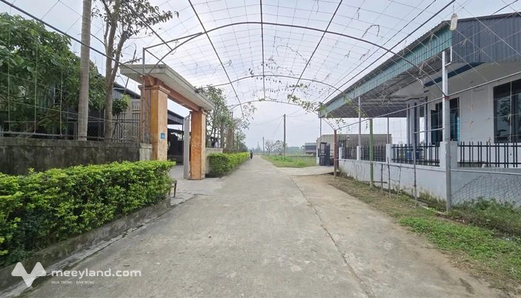 Bán lô đất thôn Hà Thanh, Tượng Sơn - Xã Thạch Lạc - Hà Tĩnh