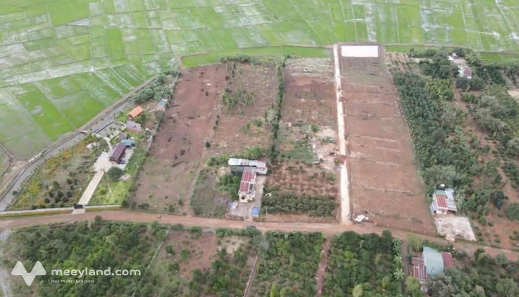 Đất vàng Cư Suê - View ruộng yên bình, đầu tư sinh lời