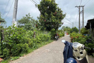Bán đất Vĩnh Bình, Chợ Lách, Bến Tre