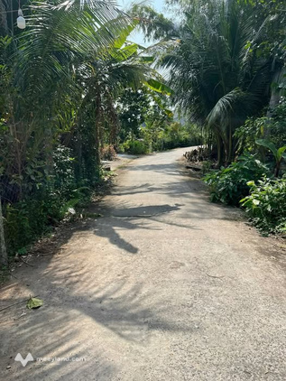 Cần bán đất đường đan oto đi tới, thuộc Tân Khánh Đông, Sa Đéc