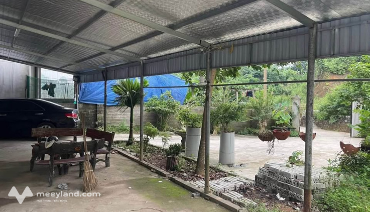 Bán đất tặng nhà cấp 4, 1600m² tại Thành phố Yên Bái