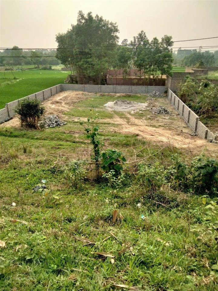 5,2 tỷ có 1000m2 đất trục chính tiên phong phổ yên thái nguyên