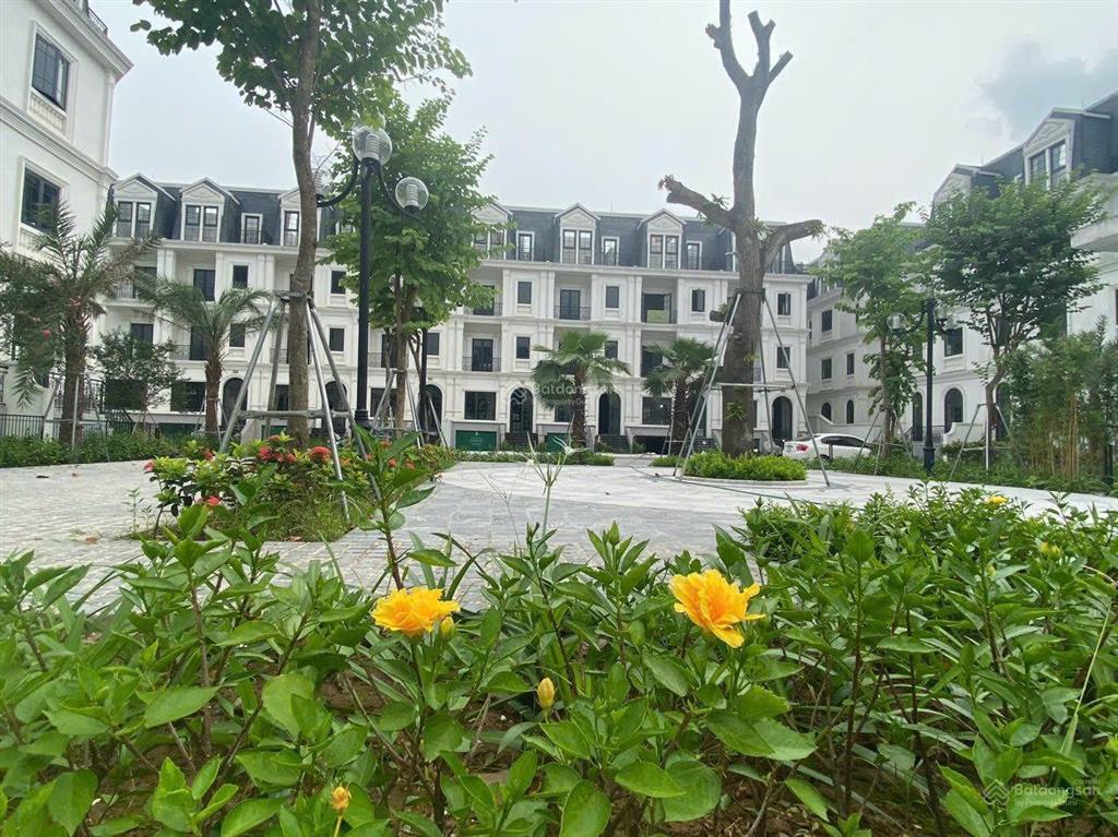 Mới ra căn liền kề jade square 116m² mặt vườn hoa 35 tỷ