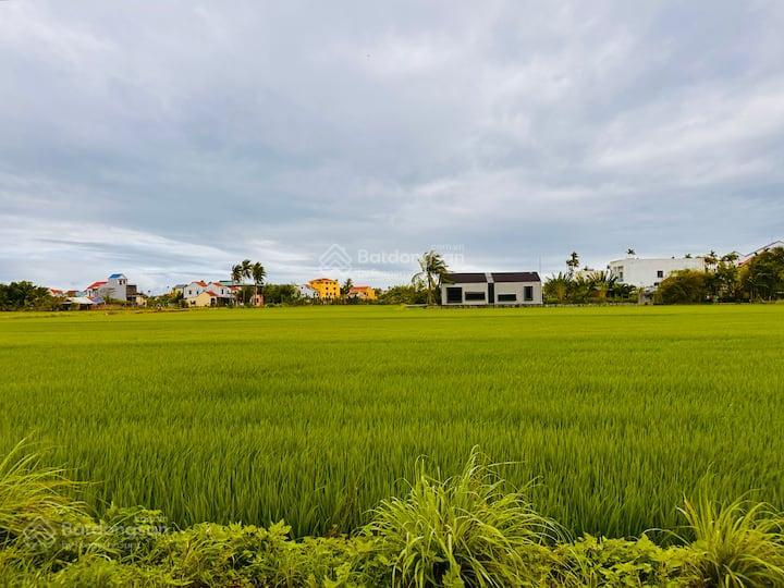 Hội an, lô đất 206m² view lúa hiếm hoi sát trung tâm phố cổ. tiện xây villa