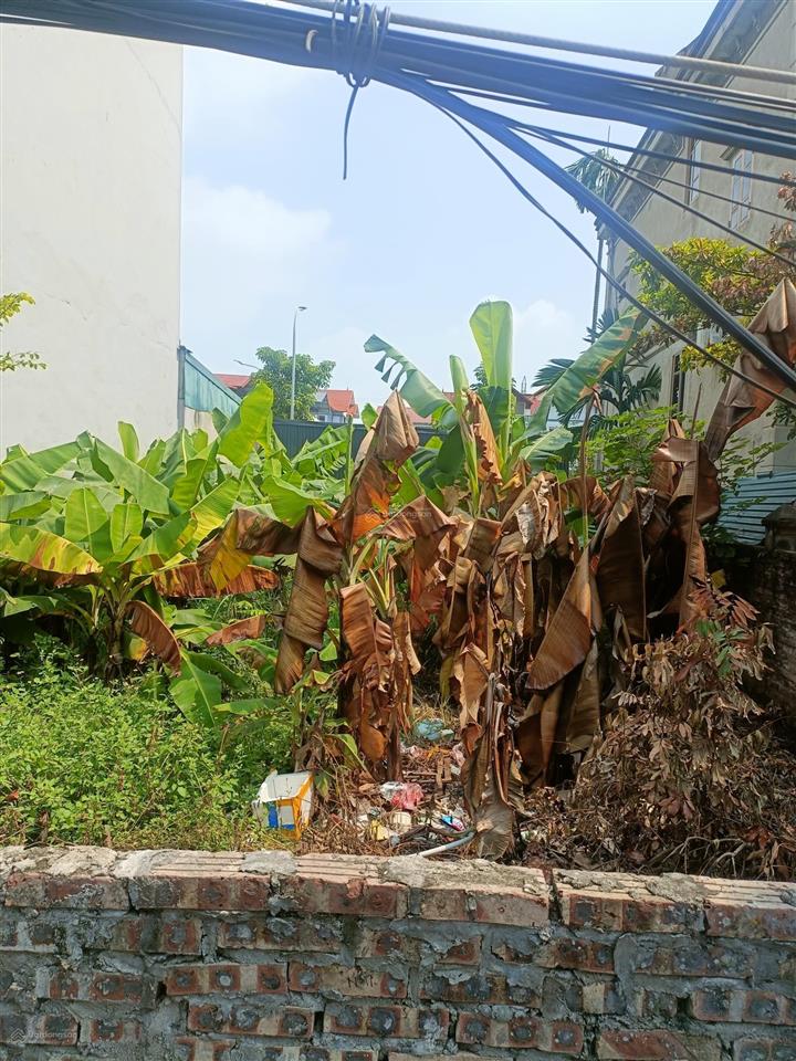 Đất võng la đông anh mt 8m 152m² cách hồ tây 15 phút 152m² mt 8m giá hơn 19.7 tỷ