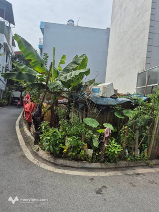 Bán đất Đức Giang, Long Biên – Lô góc 45m² – Ô tô tránh - Gía 11 tỷ