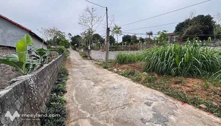 Đất Vĩnh Phúc xịn xò, ô tô vào tận nơi, giá yê thương