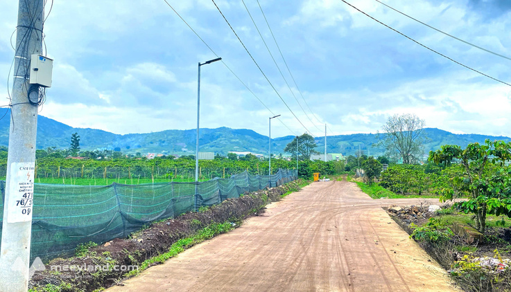 Đất Liên Hiệp cũ, Lâm Đồng 2500m2 thổ cư, quy hoạch full hồng