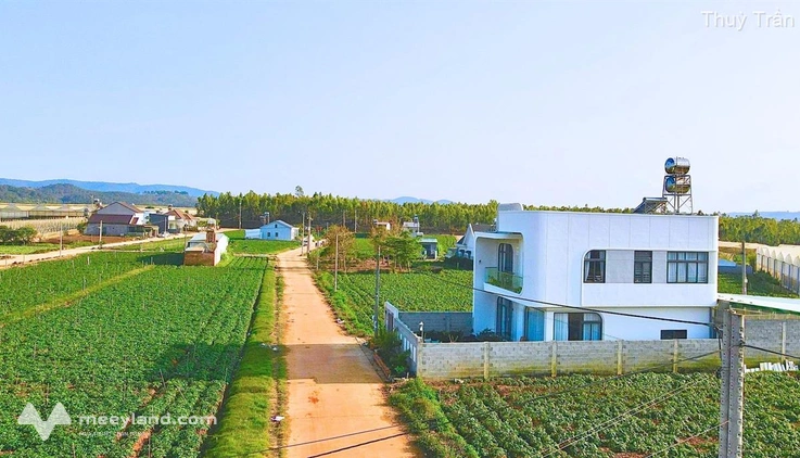 Bán đất tại Thạnh Mỹ, Đơn Dương, Lâm Đồng, giá 630 triệu