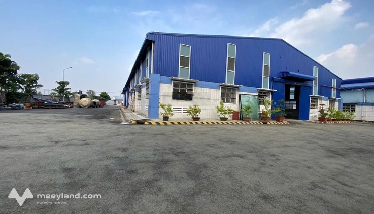 Cho thuê 13.000m2 kho xưởng Củ Chi