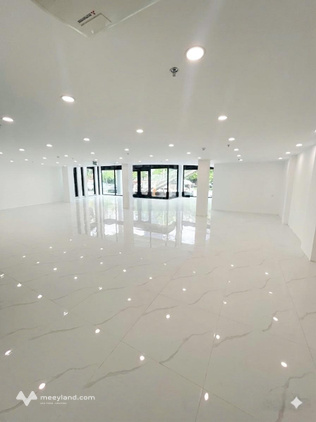 Cho thuê MBKD mặt phố Cầu Giấy, 720m2, lô góc, view kính, vỉa hè rộng, ô tô đỗ, bãi ô tô, 24/25